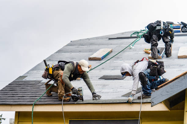 Professional Gutter Installation technician working in Wrightsboro, TX